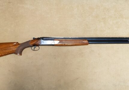 Aramberri superpuesta --- 450.00 €